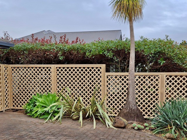 Diagonal Trellis Panels Tauranga | Custom Made | Trellis Outdoor Centre